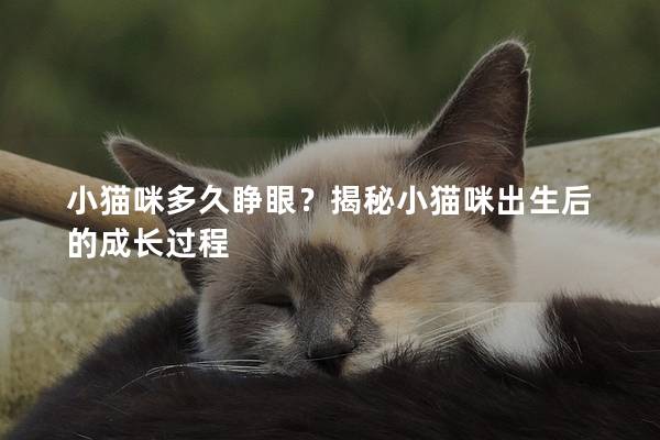 小猫咪多久睁眼？揭秘小猫咪出生后的成长过程
