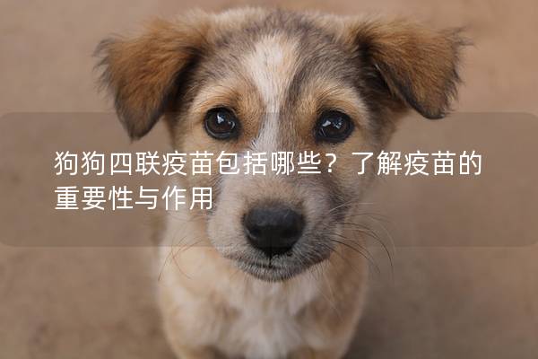 狗狗四联疫苗包括哪些？了解疫苗的重要性与作用