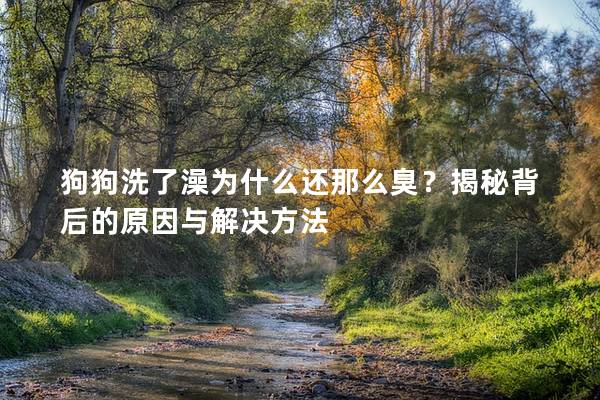 狗狗洗了澡为什么还那么臭？揭秘背后的原因与解决方法