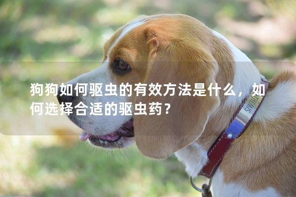 狗狗如何驱虫的有效方法是什么，如何选择合适的驱虫药？