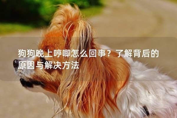 狗狗晚上哼唧怎么回事？了解背后的原因与解决方法