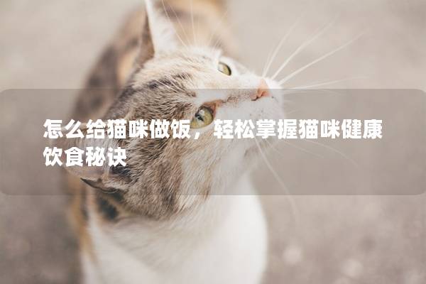 怎么给猫咪做饭，轻松掌握猫咪健康饮食秘诀