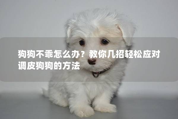 狗狗不乖怎么办？教你几招轻松应对调皮狗狗的方法