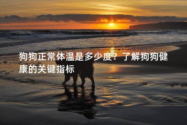 狗狗正常体温是多少度？了解狗狗健康的关键指标