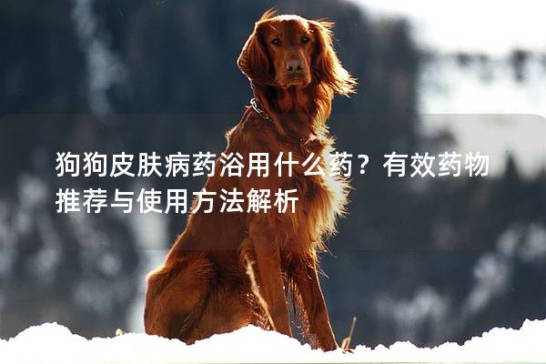 狗狗皮肤病药浴用什么药？有效药物推荐与使用方法解析