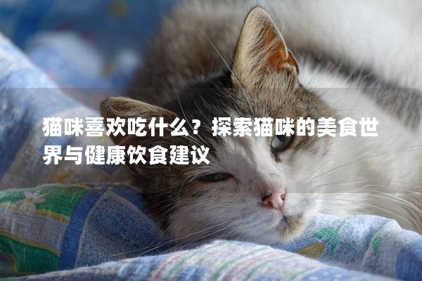猫咪喜欢吃什么？探索猫咪的美食世界与健康饮食建议