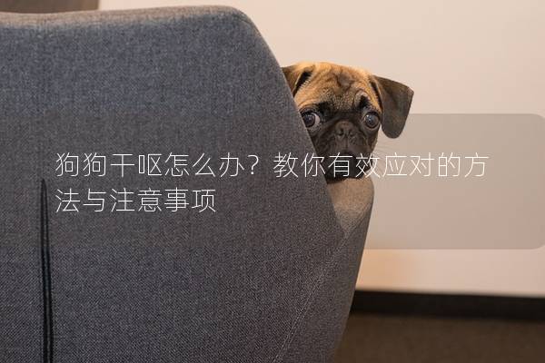 狗狗干呕怎么办？教你有效应对的方法与注意事项