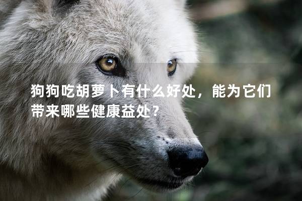 狗狗吃胡萝卜有什么好处，能为它们带来哪些健康益处？
