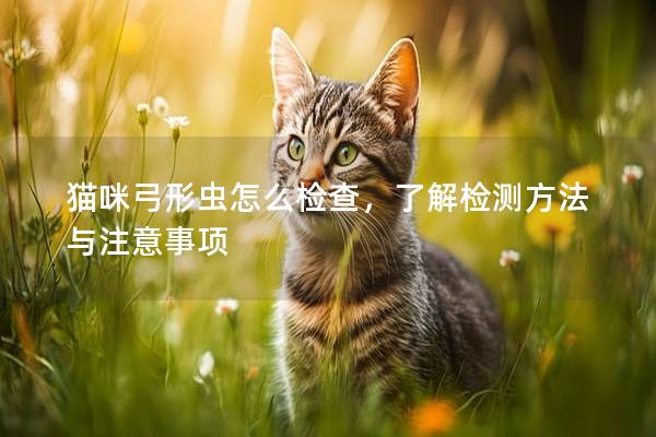 猫咪弓形虫怎么检查，了解检测方法与注意事项