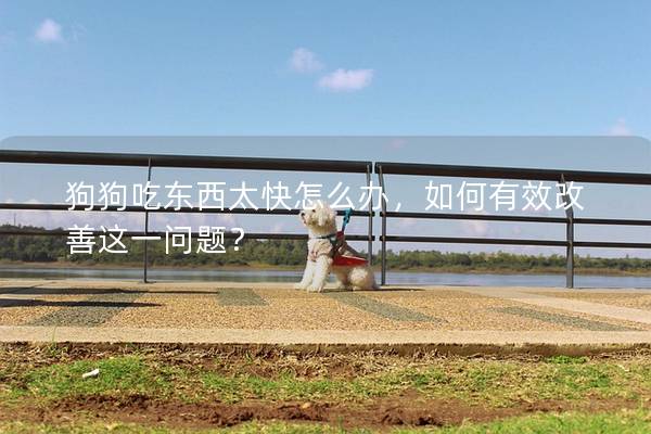狗狗吃东西太快怎么办，如何有效改善这一问题？