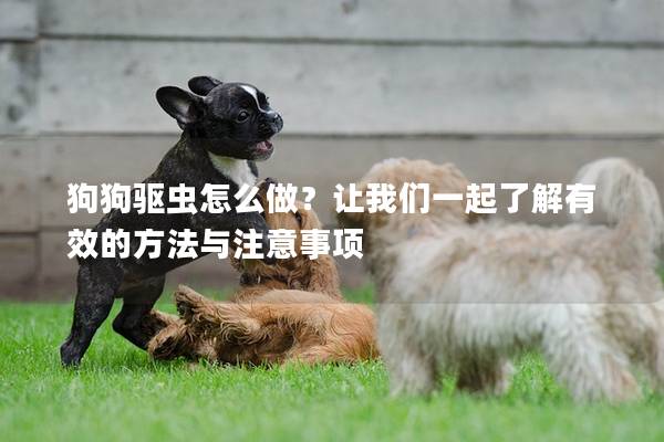 狗狗驱虫怎么做？让我们一起了解有效的方法与注意事项