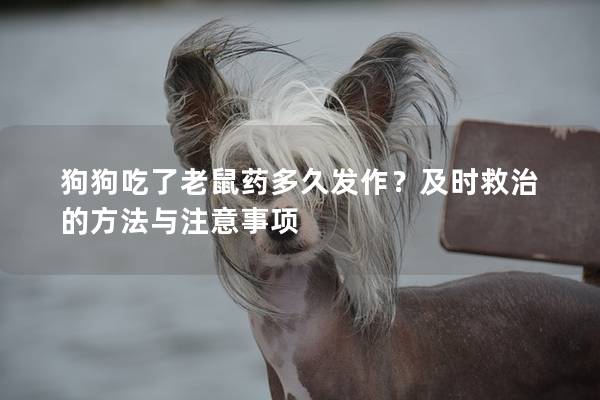 狗狗吃了老鼠药多久发作？及时救治的方法与注意事项
