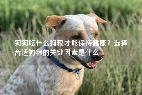 狗狗吃什么狗粮才能保持健康？选择合适狗粮的关键因素是什么