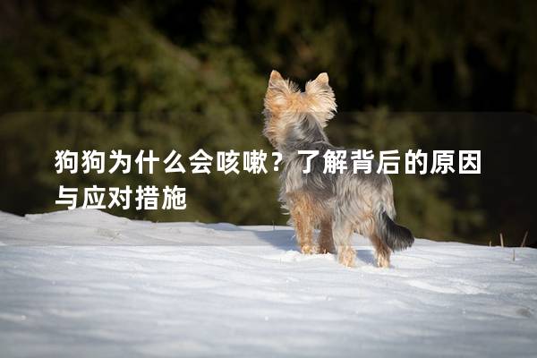 狗狗为什么会咳嗽？了解背后的原因与应对措施