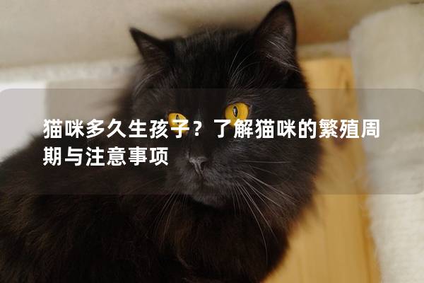 猫咪多久生孩子？了解猫咪的繁殖周期与注意事项