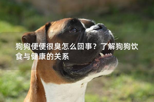 狗狗便便很臭怎么回事？了解狗<a href=