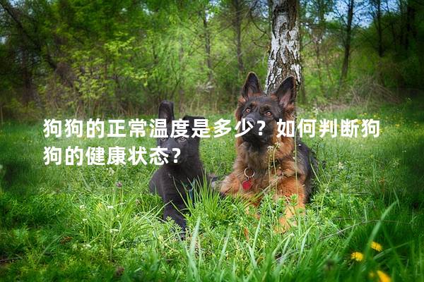 狗狗的正常温度是多少？如何判断狗狗的健康状态？