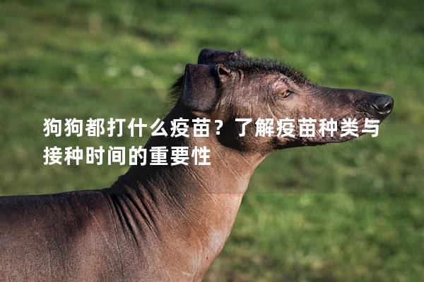 狗狗都打什么疫苗？了解疫苗种类与接种时间的重要性