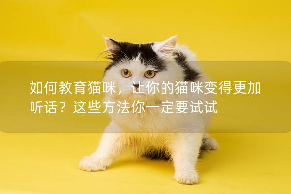 如何教育猫咪，让你的猫咪变得更加听话？这些方法你一定要试试