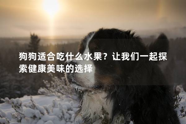 狗狗适合吃什么水果？让我们一起探索健康美味的选择