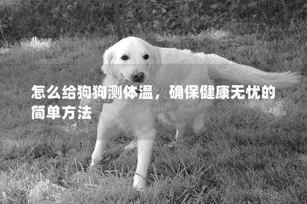 怎么给狗狗测体温，确保健康无忧的简单方法