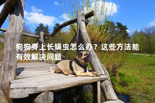 狗狗身上长螨虫怎么办？这些方法能有效解决问题