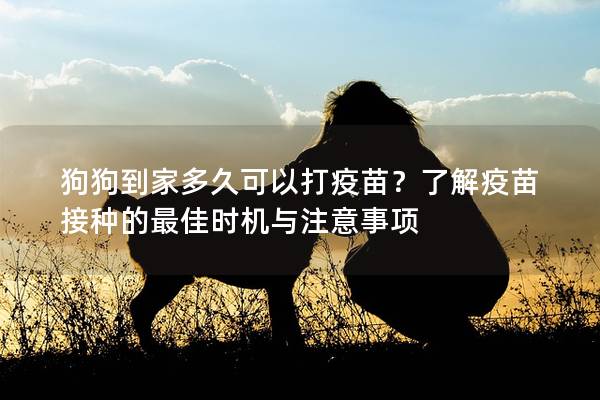 狗狗到家多久可以打疫苗？了解疫苗接种的最佳时机与注意事项
