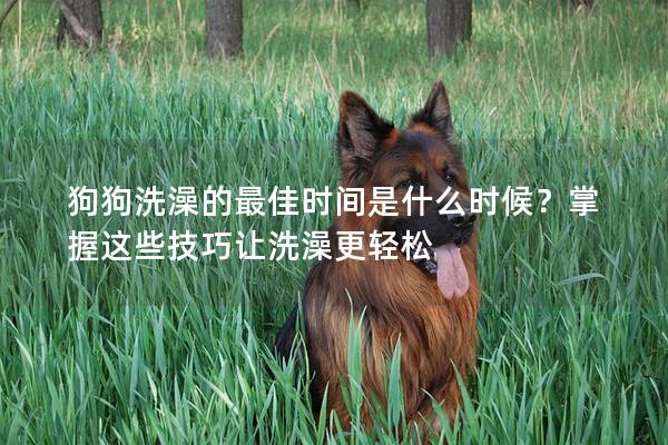 狗狗洗澡的最佳时间是什么时候？掌握这些技巧让洗澡更轻松
