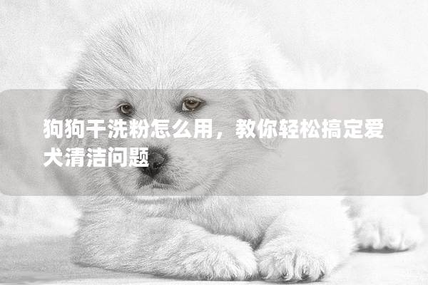 狗狗干洗粉怎么用，教你轻松搞定爱犬清洁问题