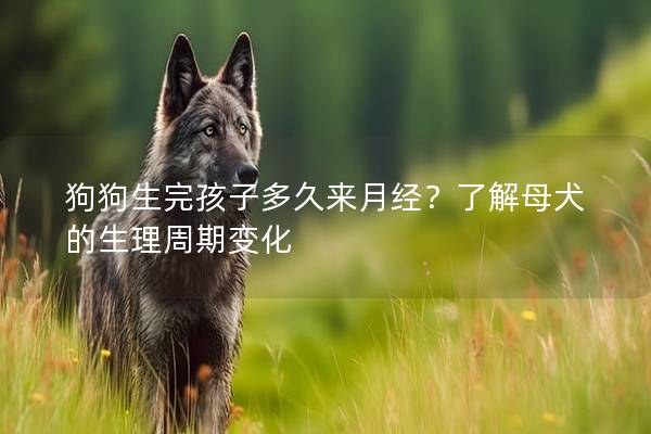 狗狗生完孩子多久来月经？了解母犬的生理周期变化