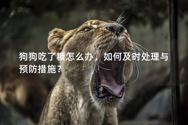 狗狗吃了糖怎么办，如何及时处理与预防措施？