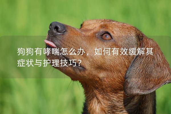 狗狗有哮喘怎么办，如何有效缓解其症状与护理技巧？
