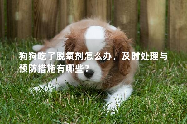 狗狗吃了脱氧剂怎么办，及时处理与预防措施有哪些？