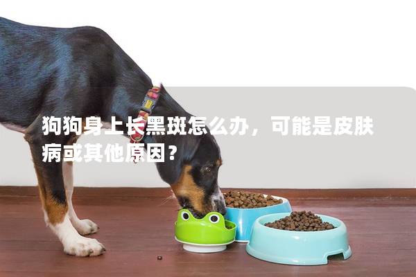 狗狗身上长黑斑怎么办，可能是皮肤病或其他原因？