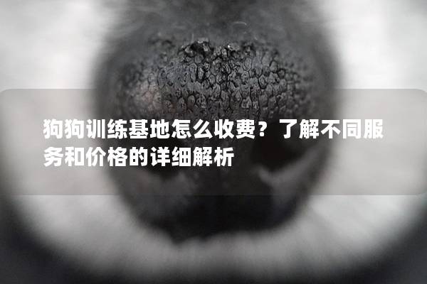 狗狗训练基地怎么收费？了解不同服务和价格的详细解析