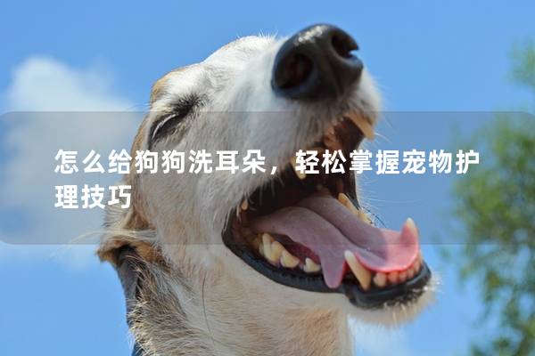 怎么给狗狗洗耳朵，轻松掌握宠物护理技巧