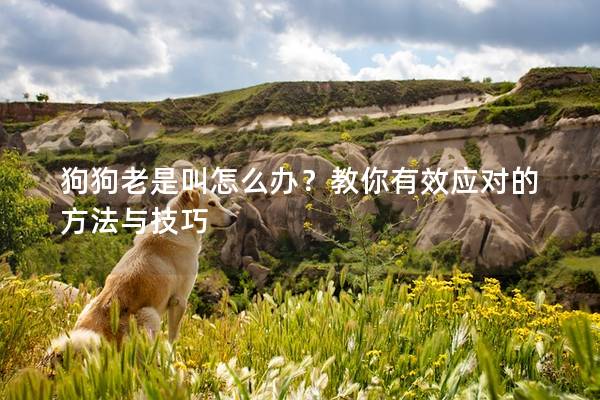狗狗老是叫怎么办？教你有效应对的方法与技巧