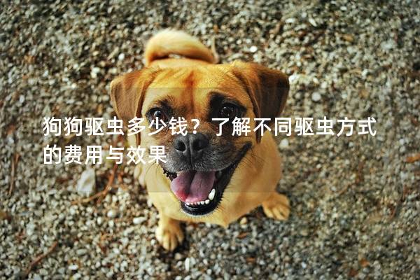 狗狗驱虫多少钱？了解不同驱虫方式的费用与效果
