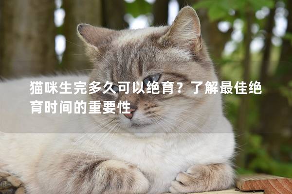 猫咪生完多久可以绝育？了解最佳绝育时间的重要性