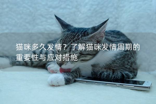 猫咪多久发情？了解猫咪发情周期的重要性与应对措施