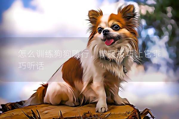 怎么训练狗狗随行，掌握技巧让它乖巧听话