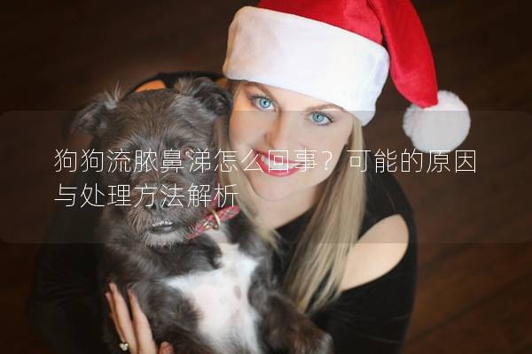 狗狗流脓鼻涕怎么回事？可能的原因与处理方法解析
