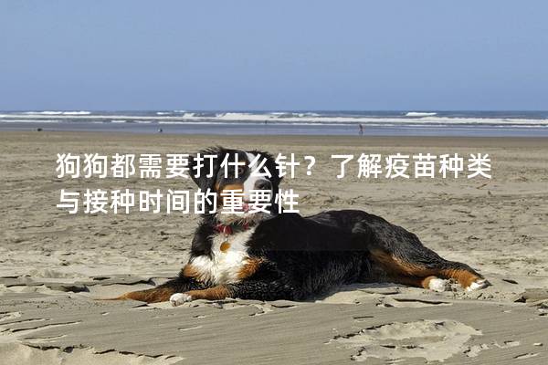 狗狗都需要打什么针？了解疫苗种类与接种时间的重要性