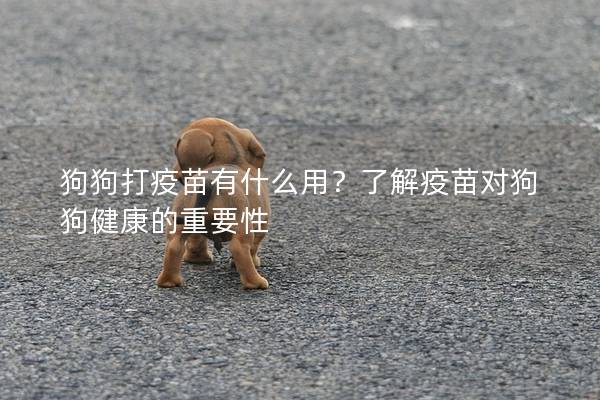 狗狗打疫苗有什么用？了解疫苗对狗狗健康的重要性