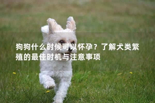 狗狗什么时候可以怀孕？了解犬类繁殖的最佳时机与注意事项