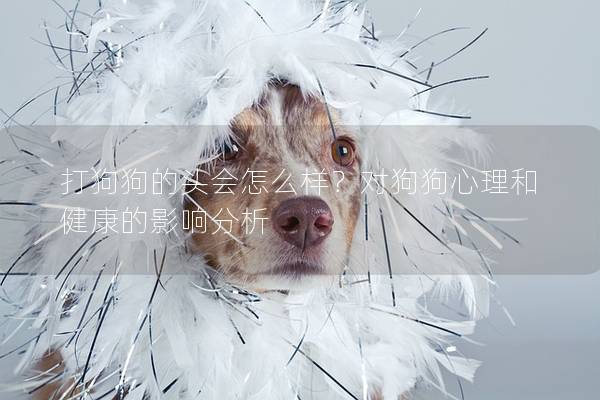 打狗狗的头会怎么样？对狗狗心理和健康的影响分析