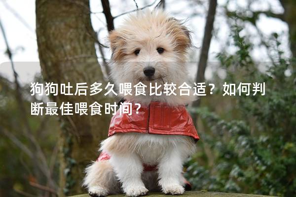狗狗吐后多久喂食比较合适？如何判断最佳喂食时间？