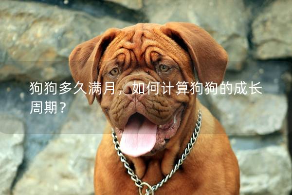 狗狗多久满月，如何计算狗狗的成长周期？