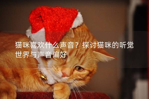 猫咪喜欢什么声音？探讨猫咪的听觉世界与声音偏好