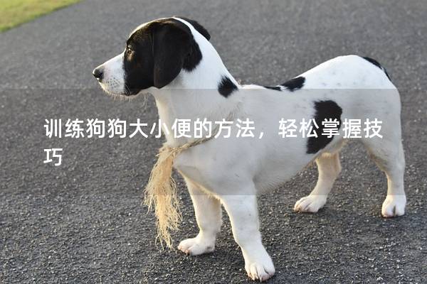 训练狗狗大小便的方法，轻松掌握技巧
